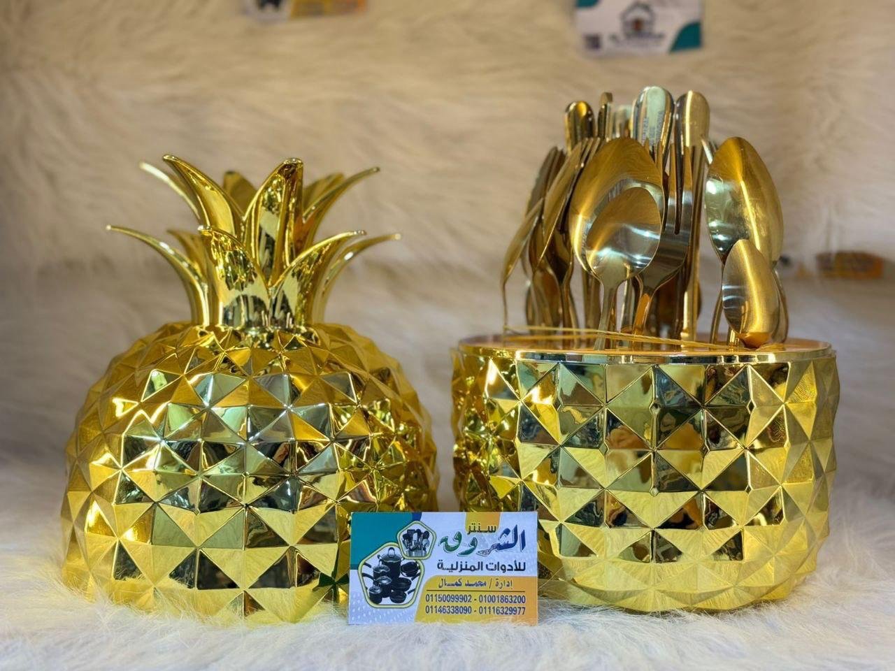 WhatsApp Image 2025-11-09 at 7.37.38 PM